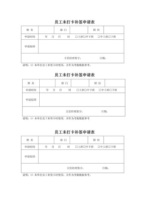 补签原因怎么写