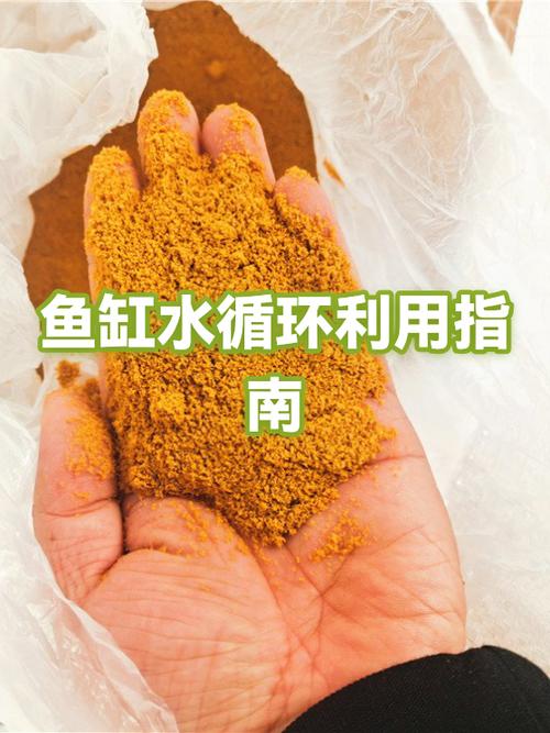 鱼缸水变清的技巧