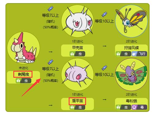 刺尾虫进化