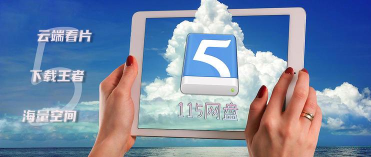 115网盘4k资源下载图标