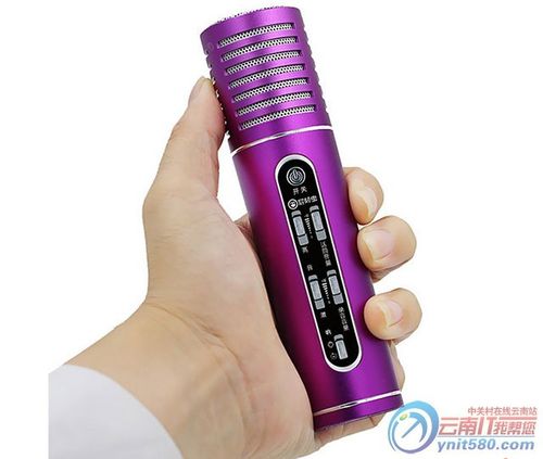 颠屁虫麦克风怎么样