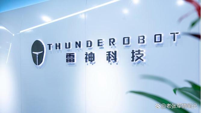 雷神公司在中国的业务