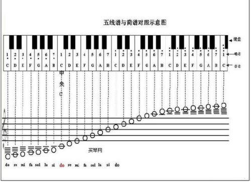 电子琴怎么标注音符