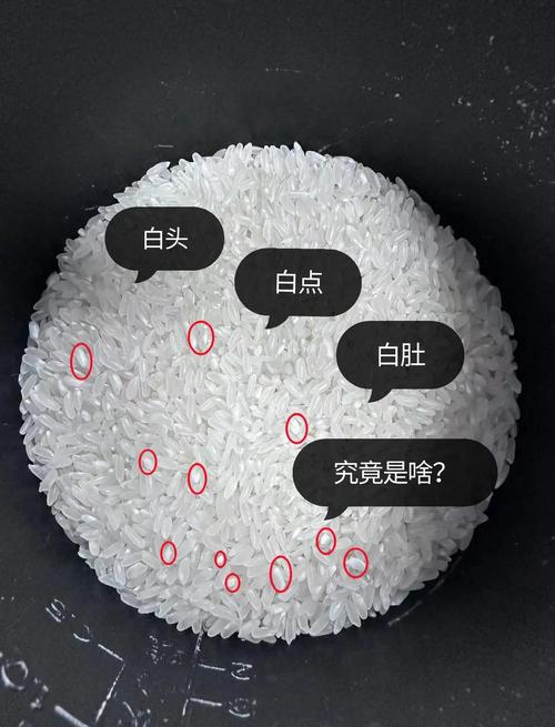 米粒白最经典十部作品缩略图