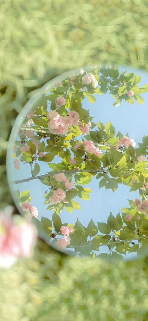 苹果手机屏幕选择性截图