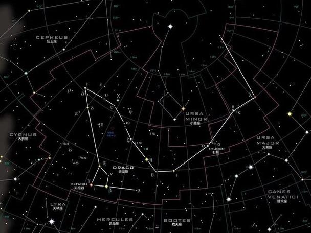 天龙星座截图