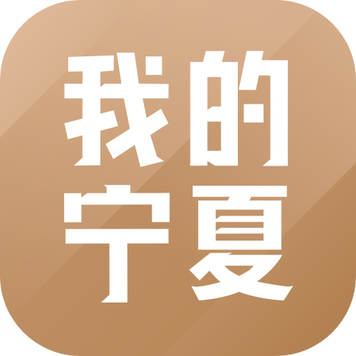 我的宁夏下载图标