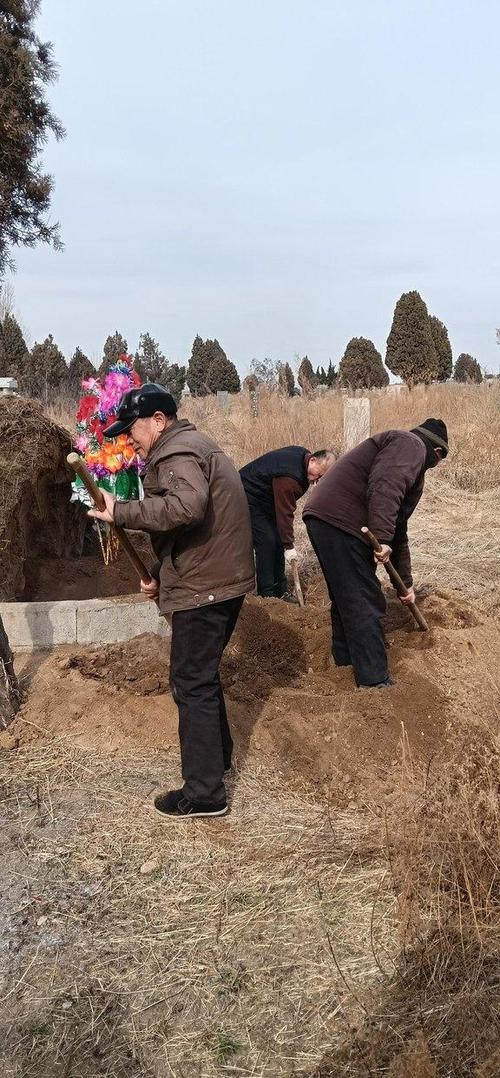 网络用语合葬吗是什么意思