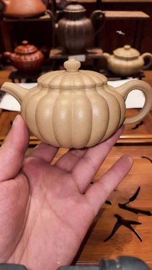 十八瓣菊