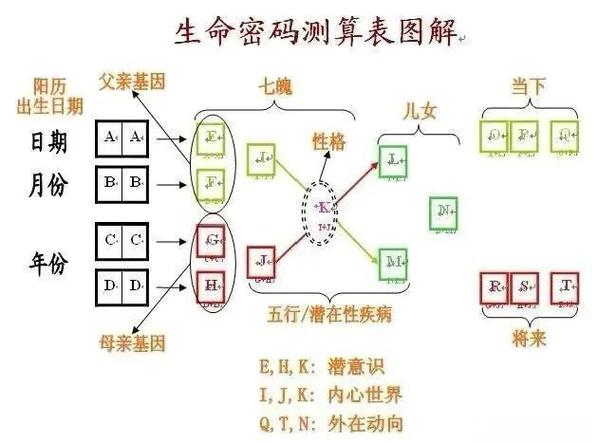 生命密码测算表图解