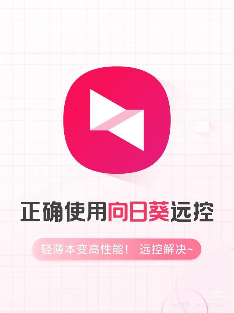向日葵远程无法连接服务器
