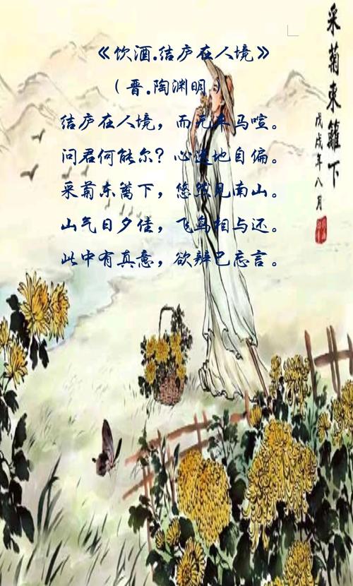 东篱菊隐的小说百度云