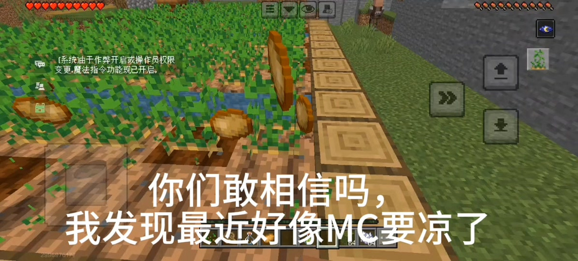 我的世界怎么给好友权限