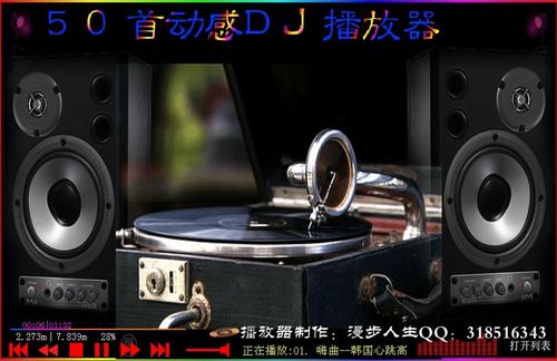 新网极swf播放器安卓10.0版本