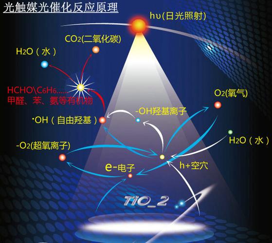 光催化硕士是冷门专业吗