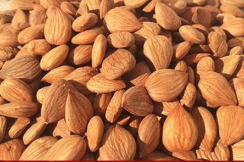 杏仁的价格最新是多少钱