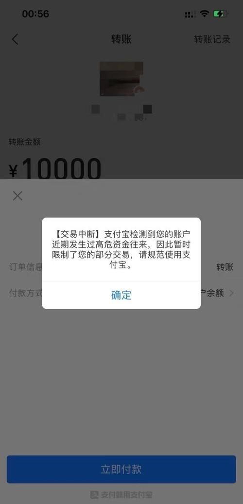 支付宝大额限制了,每天限额多少游戏截图