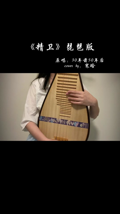 精卫琵琶版mp3歌曲下载缩略图