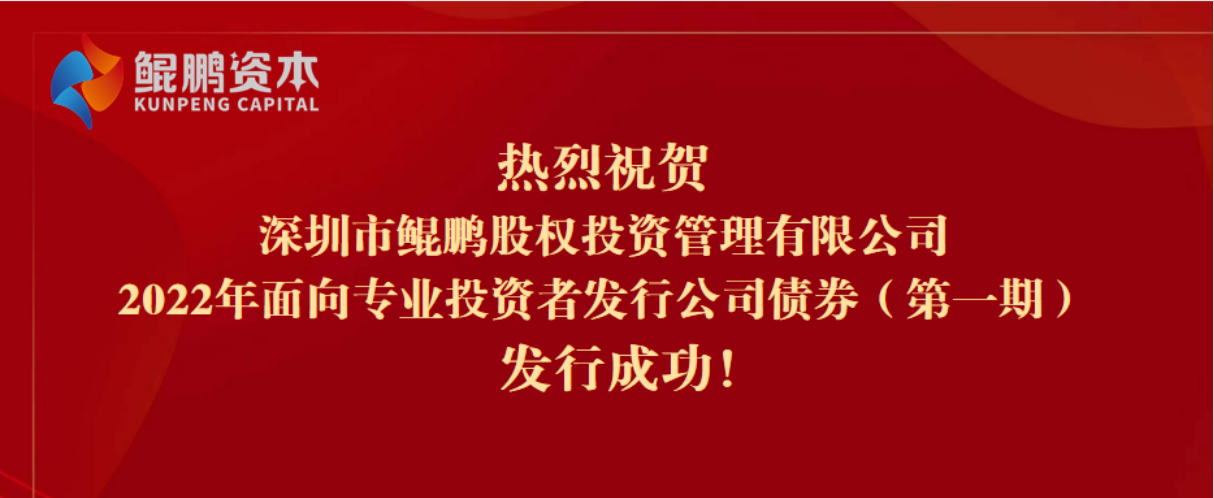 鲲鹏投资管理有限公司图标