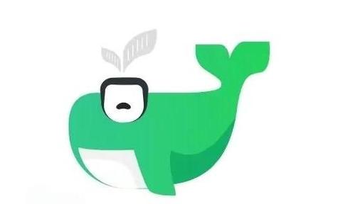 小绿鲸会员有必要买吗