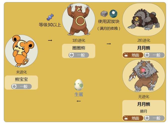 熊宝宝特性哪个好