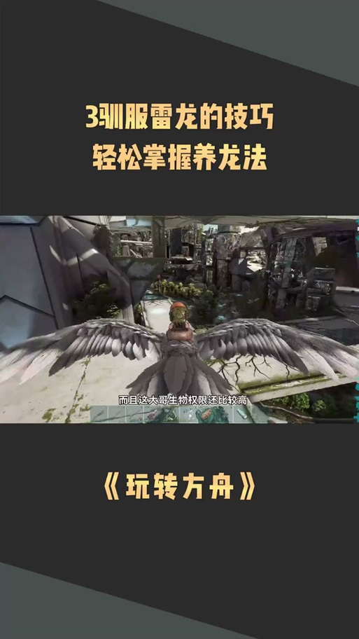 方舟如何给龙刷等级