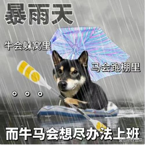 被淋雨的表情包