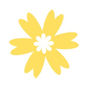 特殊符号花瓣