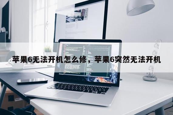 苹果6强制开机也开不了
