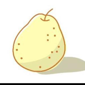 pear雪梨版本大全