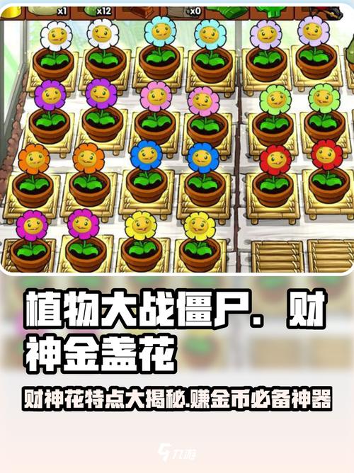 金盏花为什么不吐金币