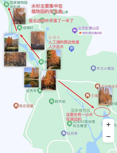 雪漫城到紫杉镇路线图最新更新时间图标