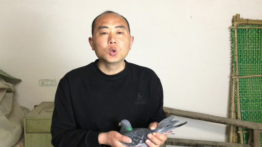 君扬大鸽鸽从1打造纯金仓库大全