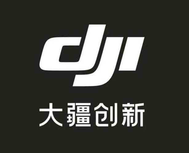大疆无人机logo游戏截图
