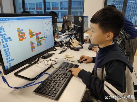少儿编程是什么