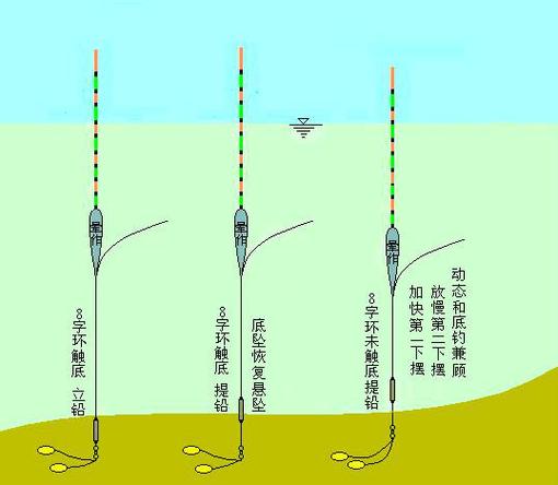 逗钓鲫鱼线组搭配