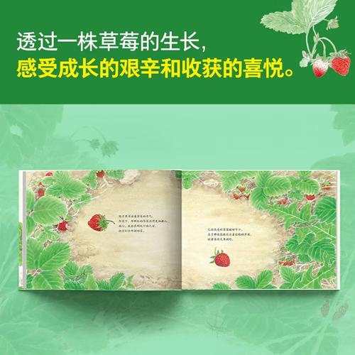 草莓红了小说