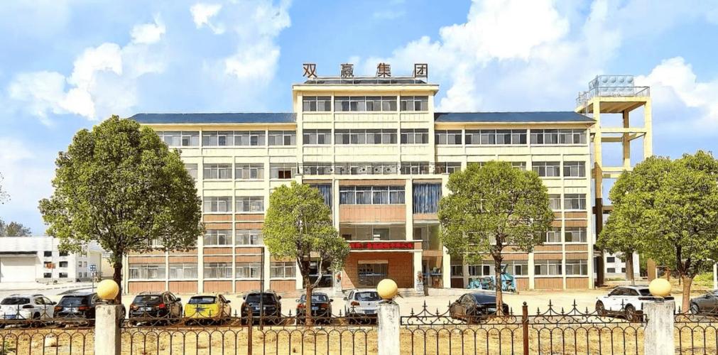 双赢集团