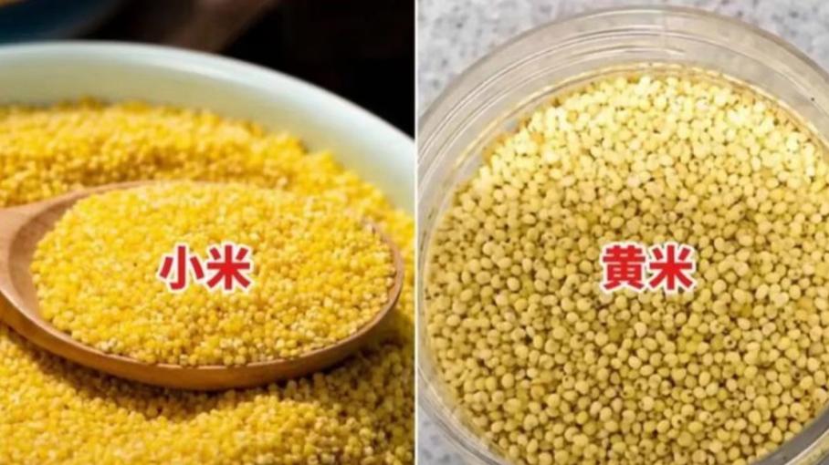 小米俗称叫什么
