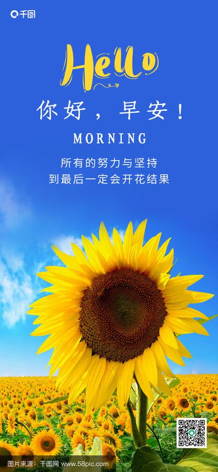 拍照向日葵发朋友圈句