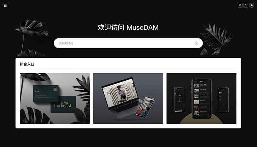 musedam官方下载免费