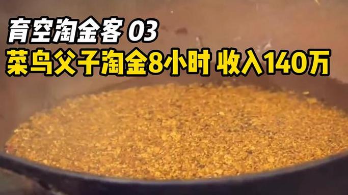 菜鸟淘金可靠吗