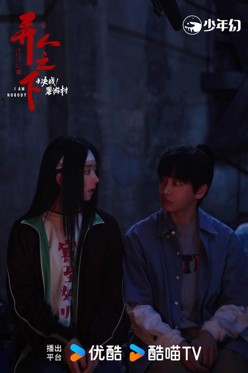 《无不良引异》电视剧