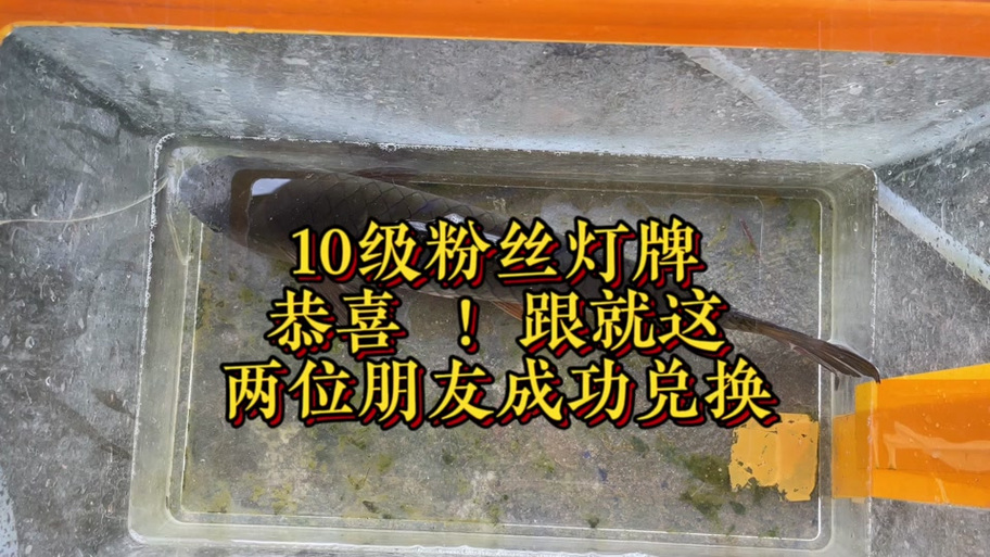 10级灯牌多少钱人民币缩略图