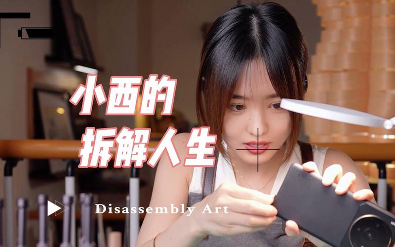小西的逆转人生txt