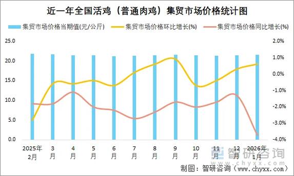 今日肉鸡价格最新价格行情