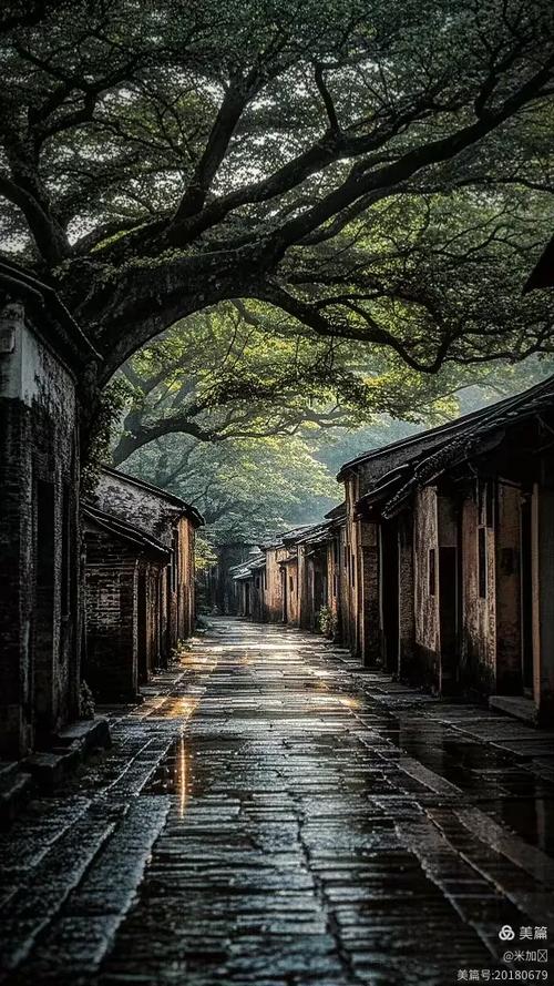 类似萧老太的年代之旅的小说