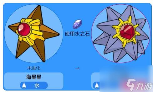 宝可梦探险海星宾果