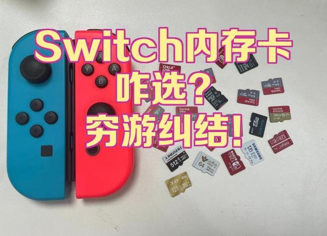 switch自带内存能换吗