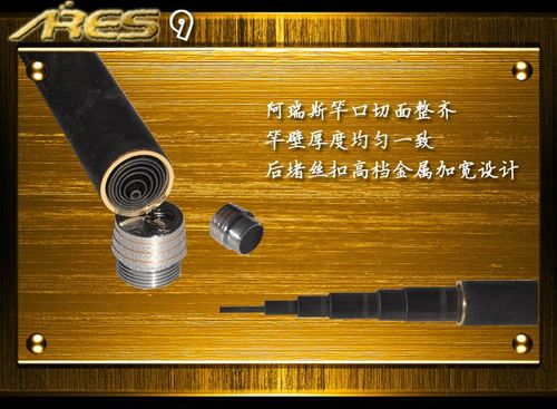 阿瑞斯病毒2如何获得鱼竿